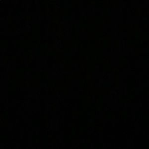 Meet your Posher, Owen